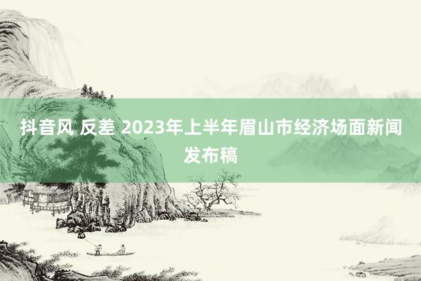 抖音风 反差 2023年上半年眉山市经济场面新闻发布稿