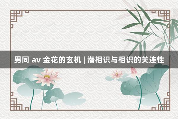 男同 av 金花的玄机 | 潜相识与相识的关连性