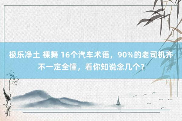 极乐净土 裸舞 16个汽车术语，90%的老司机齐不一定全懂，看你知说念几个？