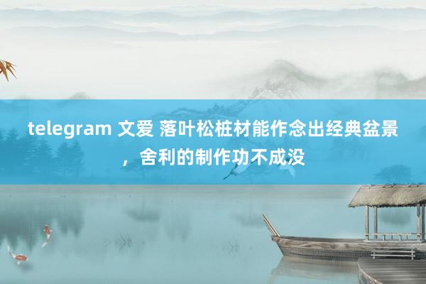 telegram 文爱 落叶松桩材能作念出经典盆景，舍利的制作功不成没