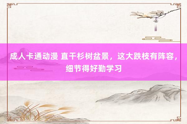 成人卡通动漫 直干杉树盆景，这大跌枝有阵容，细节得好勤学习