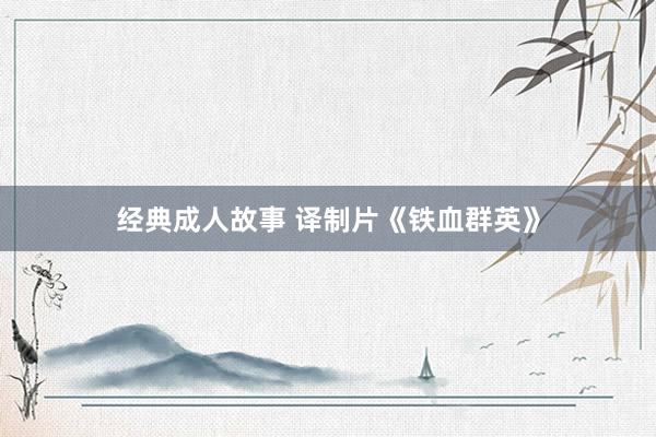 经典成人故事 译制片《铁血群英》